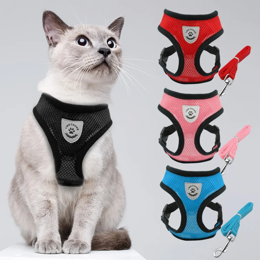 Body Harness