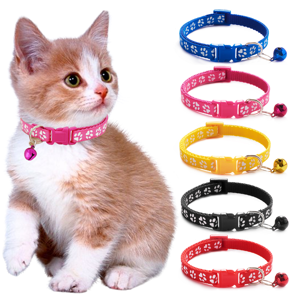 Pet Collar