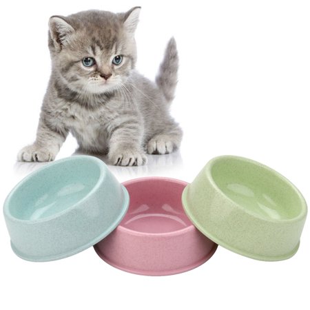 Cat Food Bowl Round